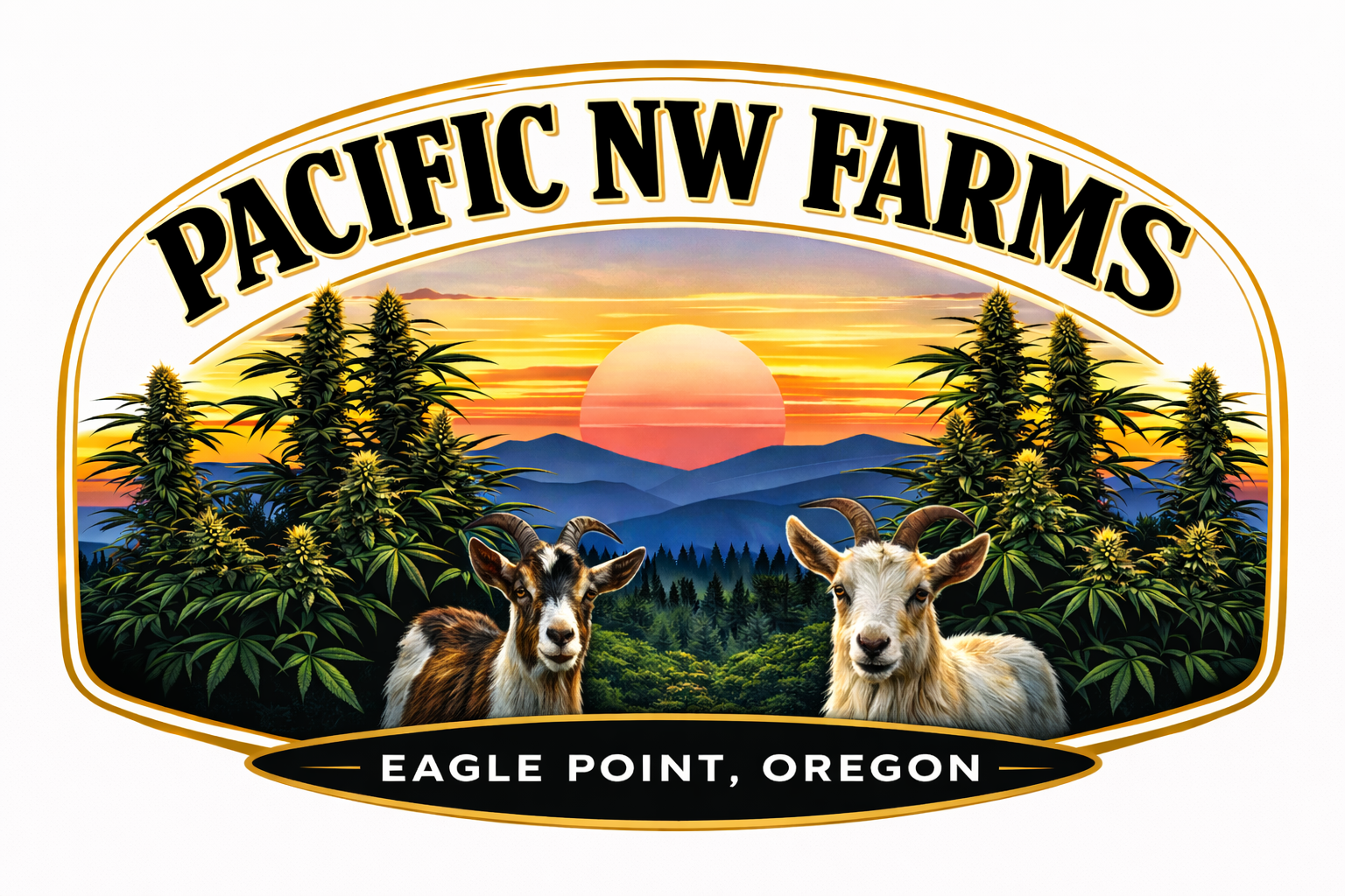 Blue Dream Pacific Nw