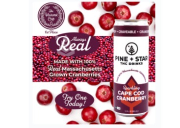 Pine + Star - Cape Cod Cranberry - Beverage - 5mg
