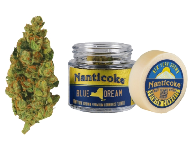 Nanticoke Blue Dream Flower (SH)