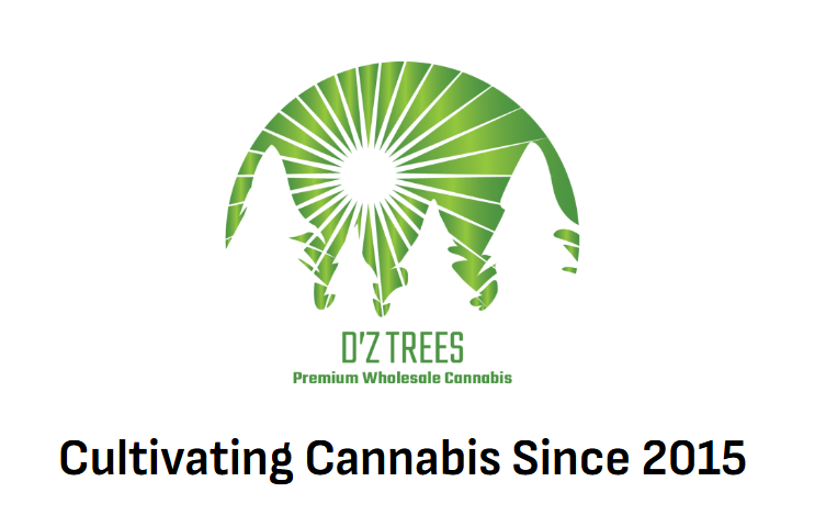 Premium Flower White Hot Guava