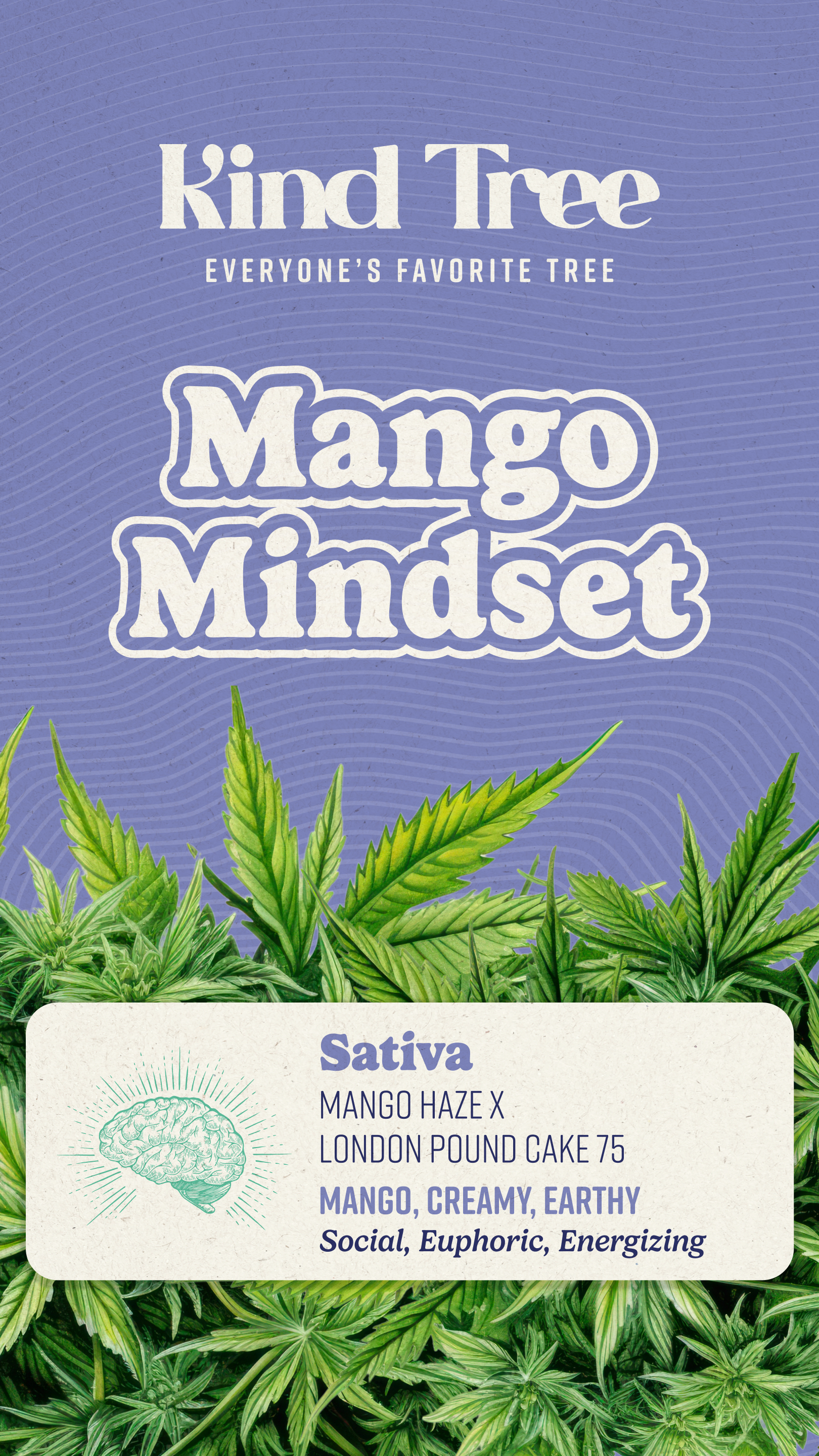 Kind Tree | Mango Mindset