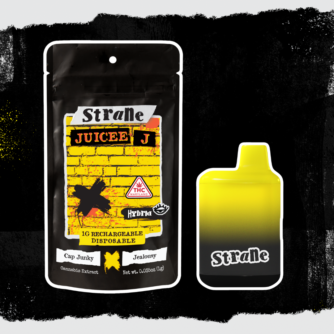 Juicee J Rip Stick Rechargeable Disposable 1g