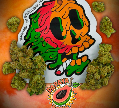 PlantNerd - Papaya Bomb Bulk Flower