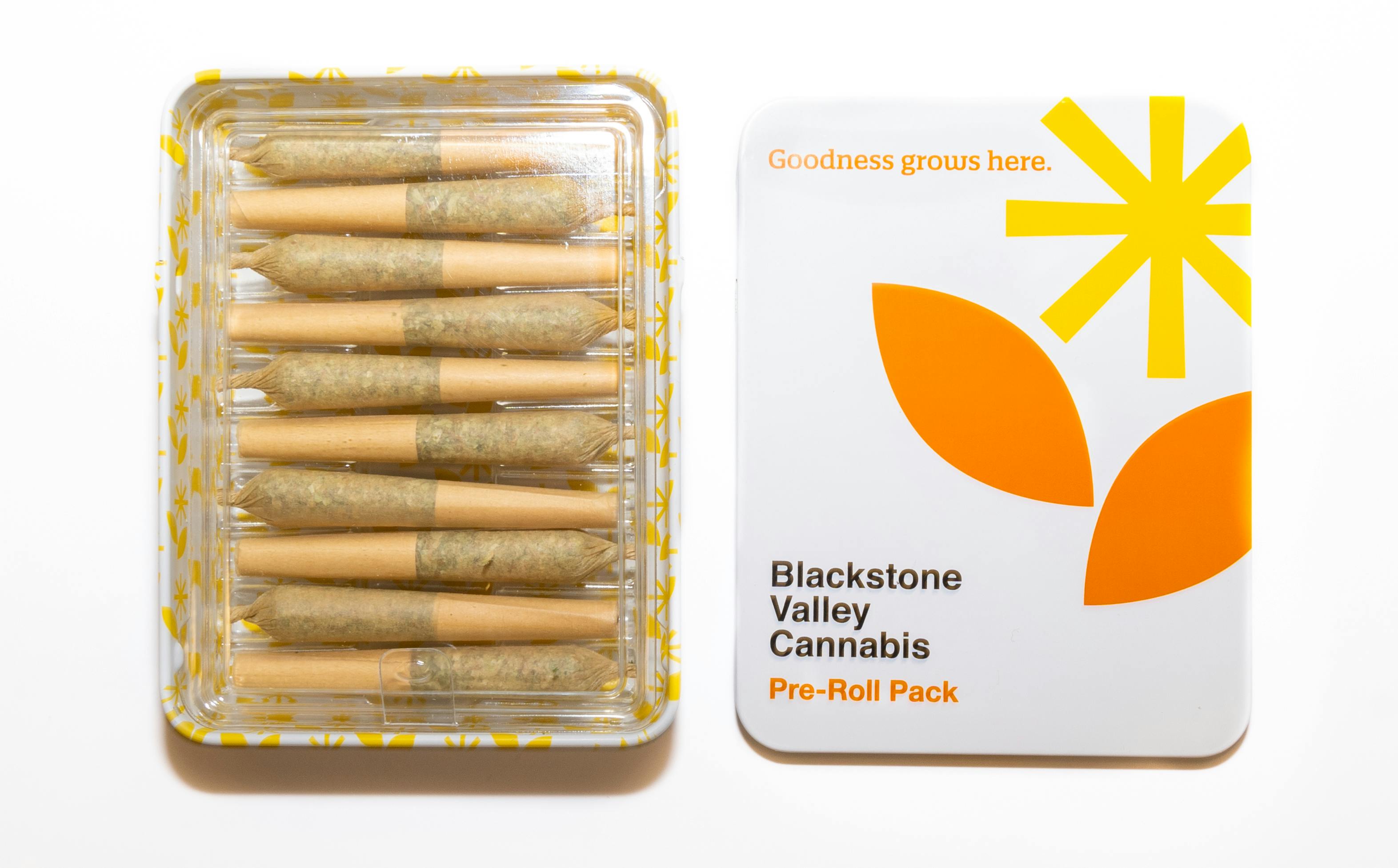 Coolio #18 Preroll | 0.35g 10pk | 30.8% TAC