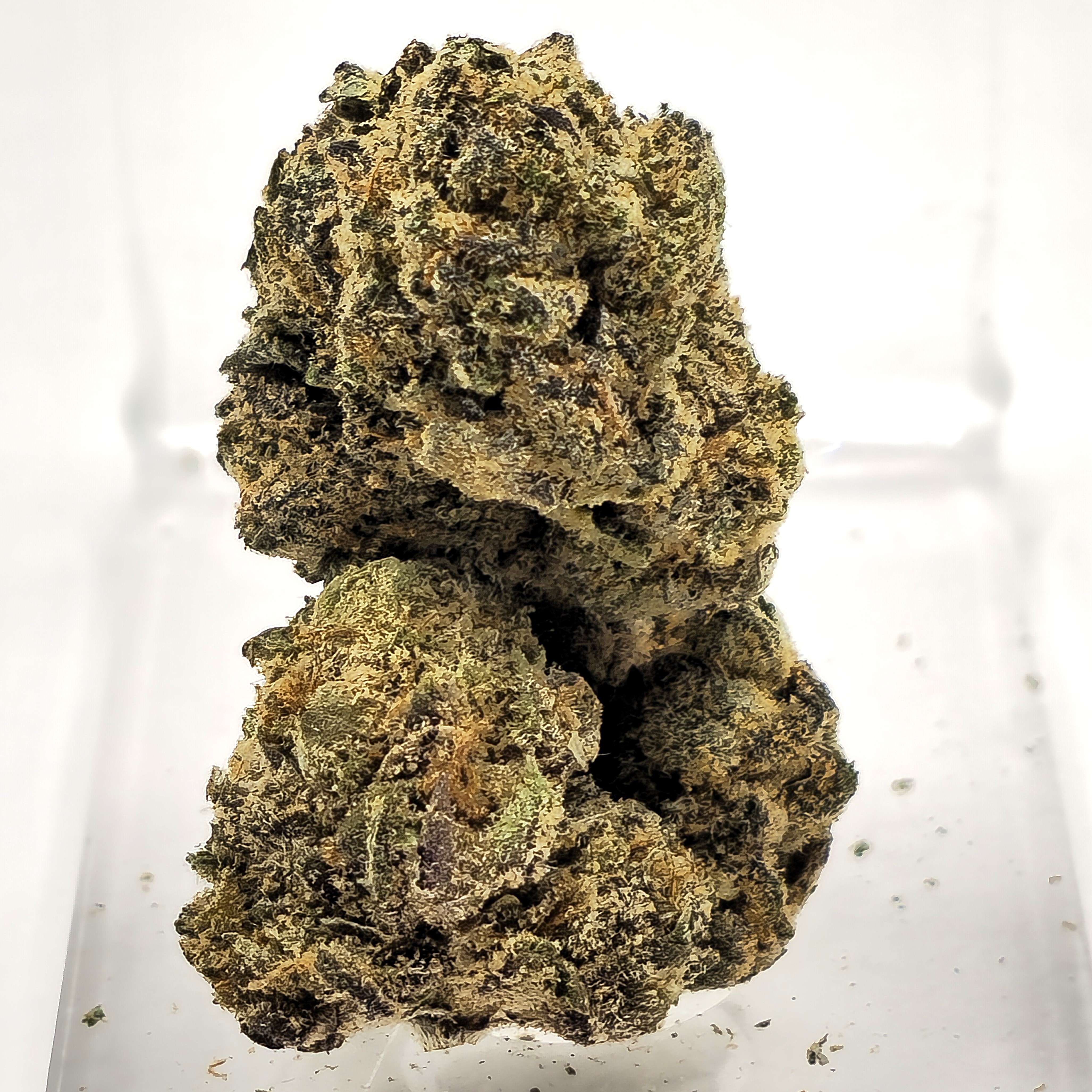 REDFOX CANNABIS | CANDY GAS | BULK FLOWER SMALLS