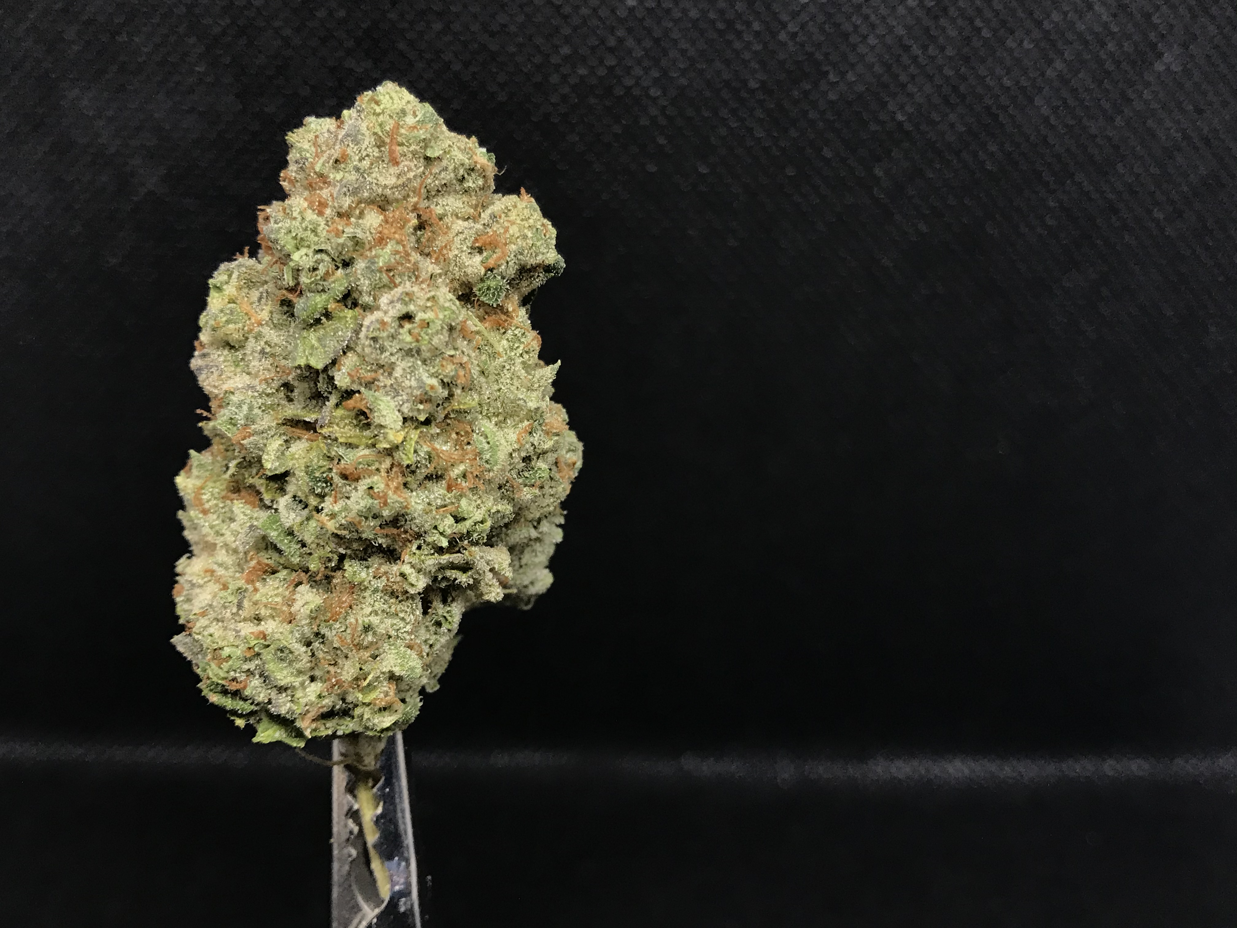 Kush Mints
