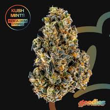 Flower | Kush Mints | 7G - Hybrid
