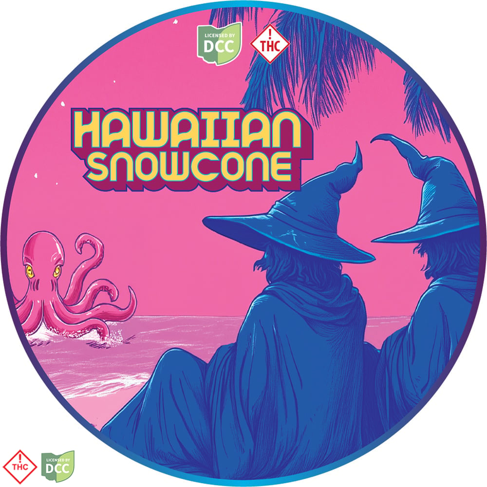 Hawaiian Snowcone Artifact