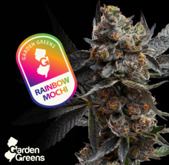 Garden Greens | Rainbow Mochi 3.