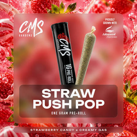 CMS Gardens - Strawberry Push Pop - Pre-Roll - 1g