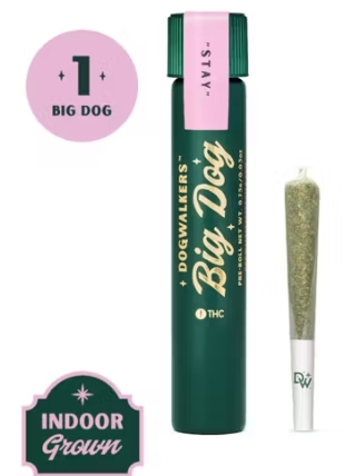 Dogwalker Big Dogs - Bananaconda - Stay - 1g - Preroll