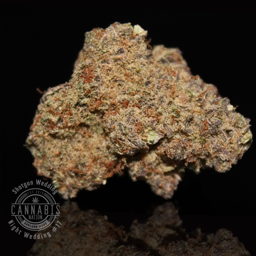 Flower | Shotgun Wedding