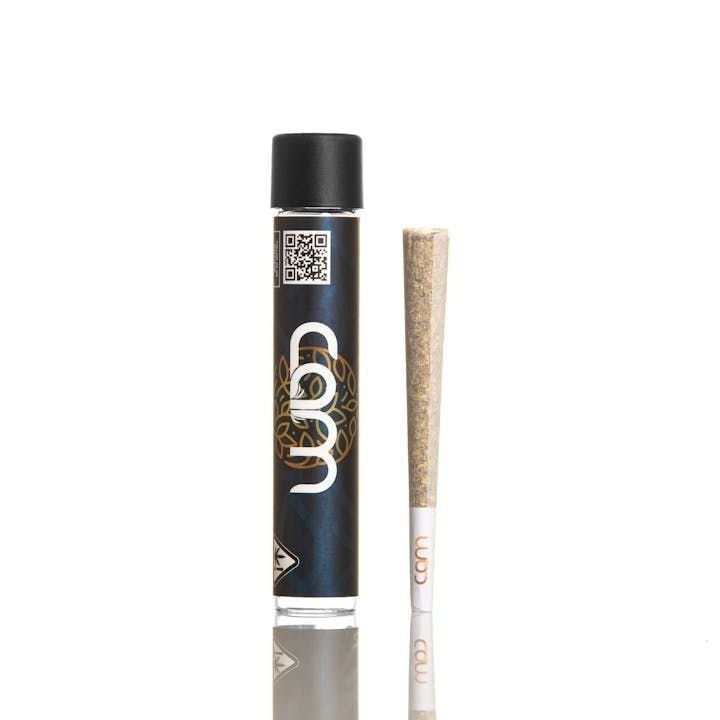 King Louie Pre-Roll