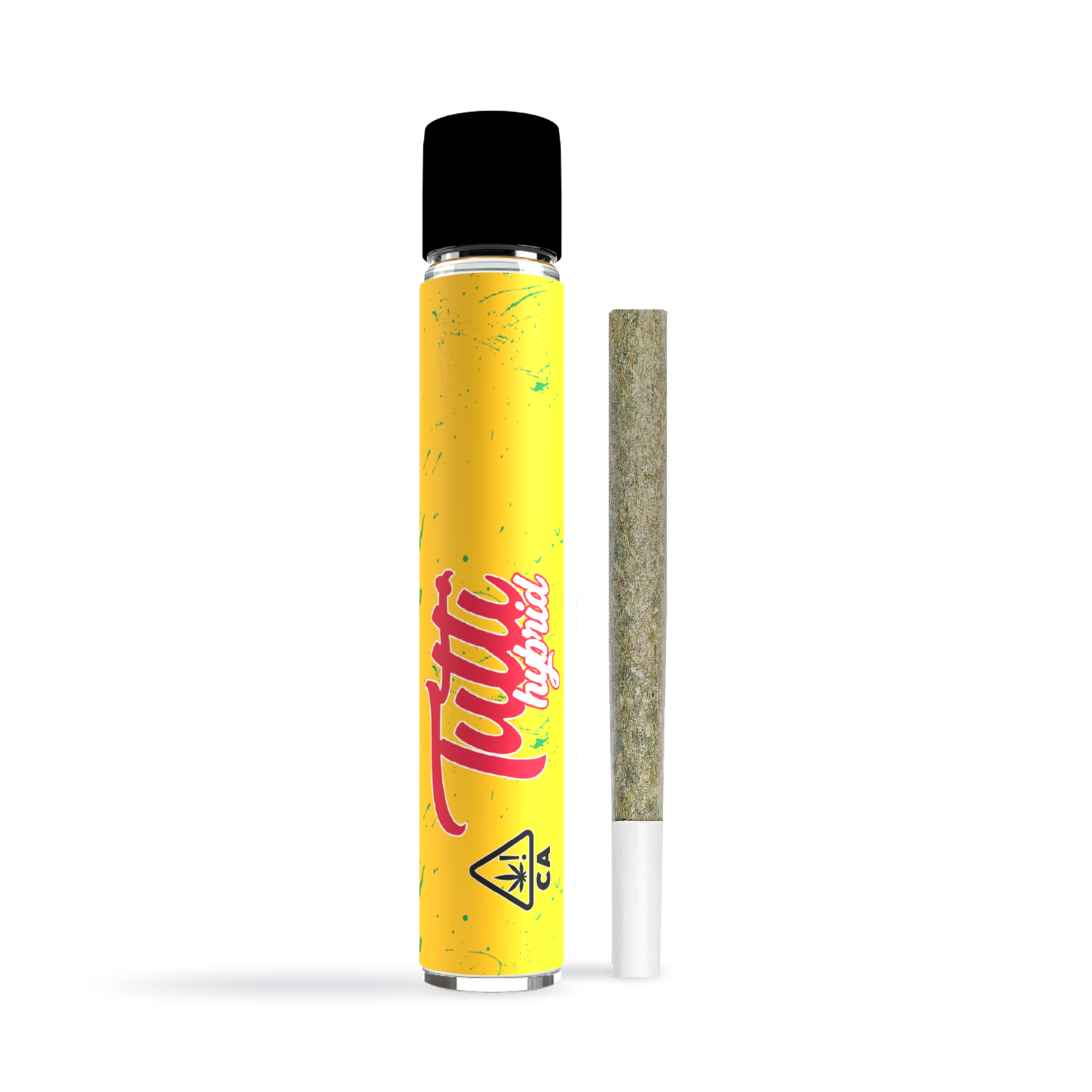 Tutti — Cali Haze