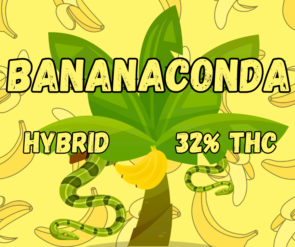 Bananaconda