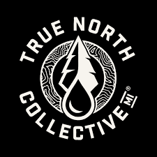 Gummies | Orange Dreamsicle One Hitter | 200mg | True North