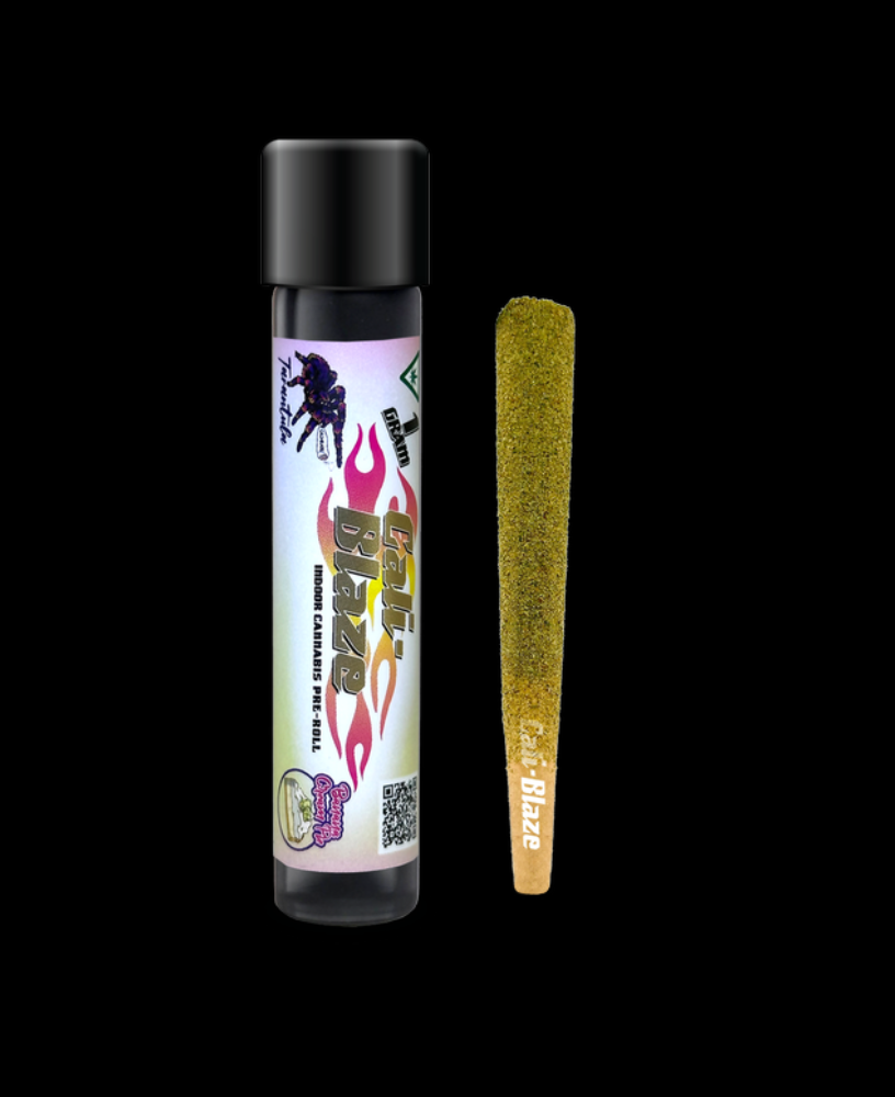 Banana Cream Pie | 1.2G Infused Preroll (TAX INCLUDED)