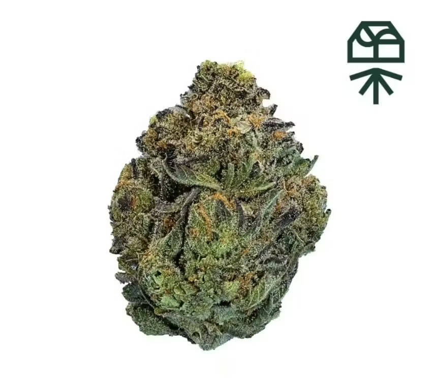 Astro GMO Smalls | 7g