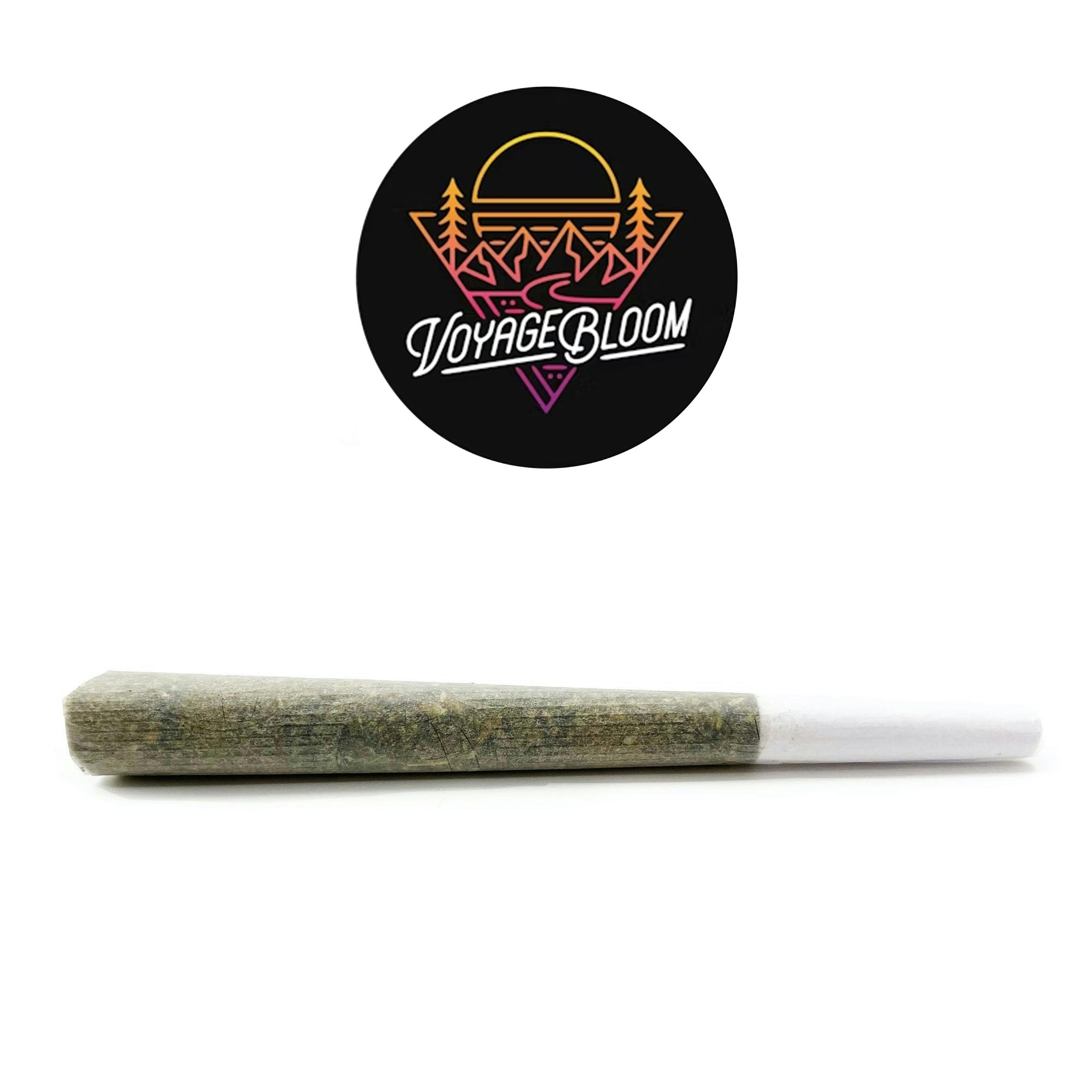 Cherry Expo | 1g Pre-Roll