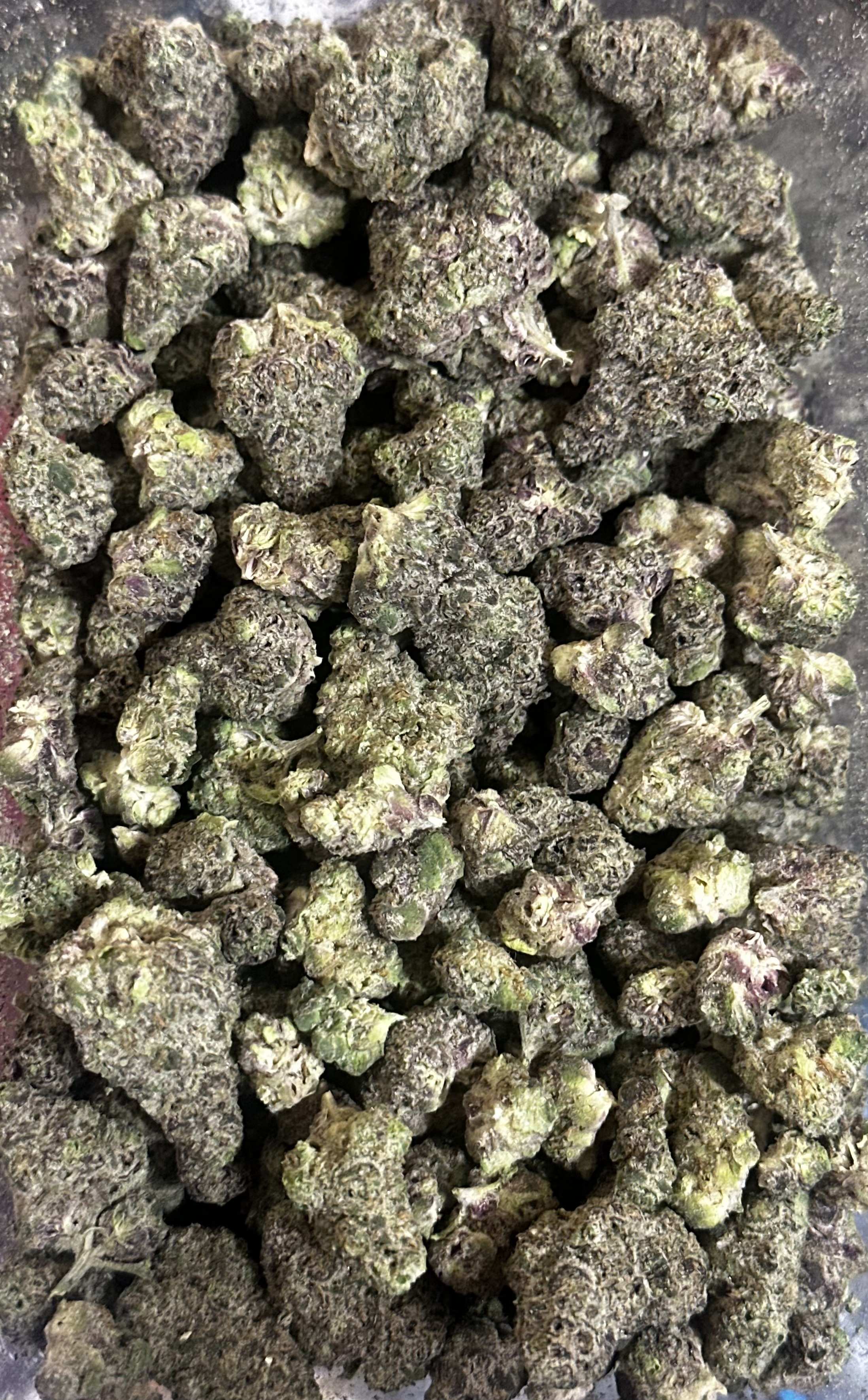 Great Weed | Purple Gushers