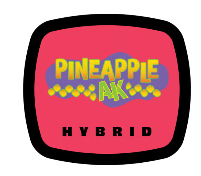 Pineapple AK - Premium Flower