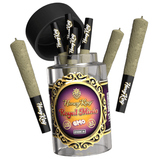 Honey King | GMO (I) l Pre-Rolls | 7pk | 3.5g