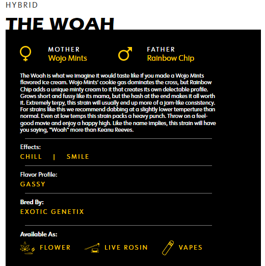 Wojo - Live Rosin - The Woah
