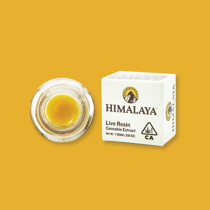 Himalaya — Burger 41 - Dabs
