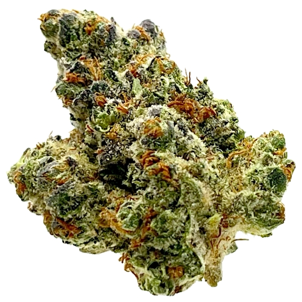 Golden Sands | Bulk Flower