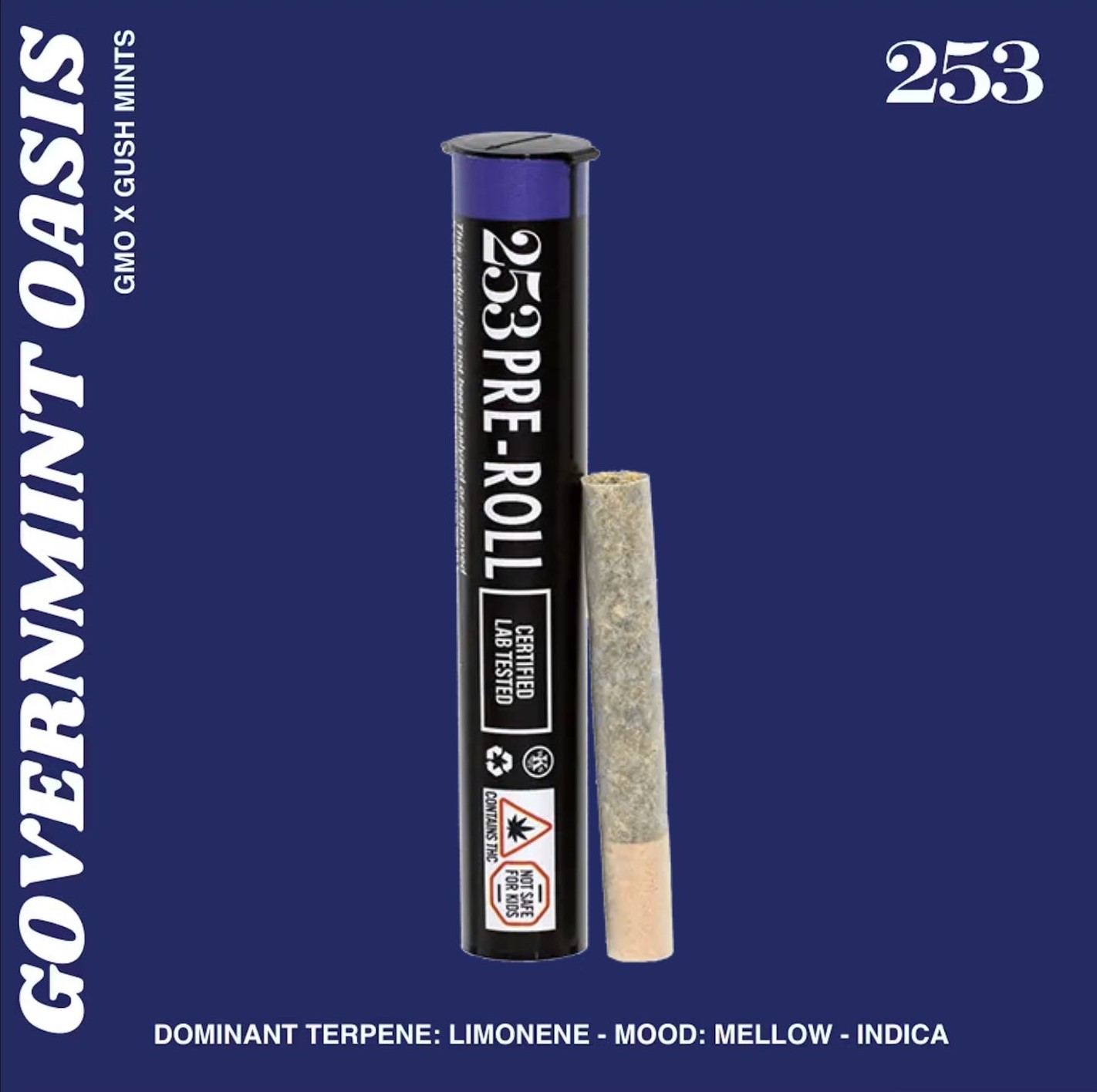 Governmint Oasis | Pre-Roll 1pk | 1g product photo