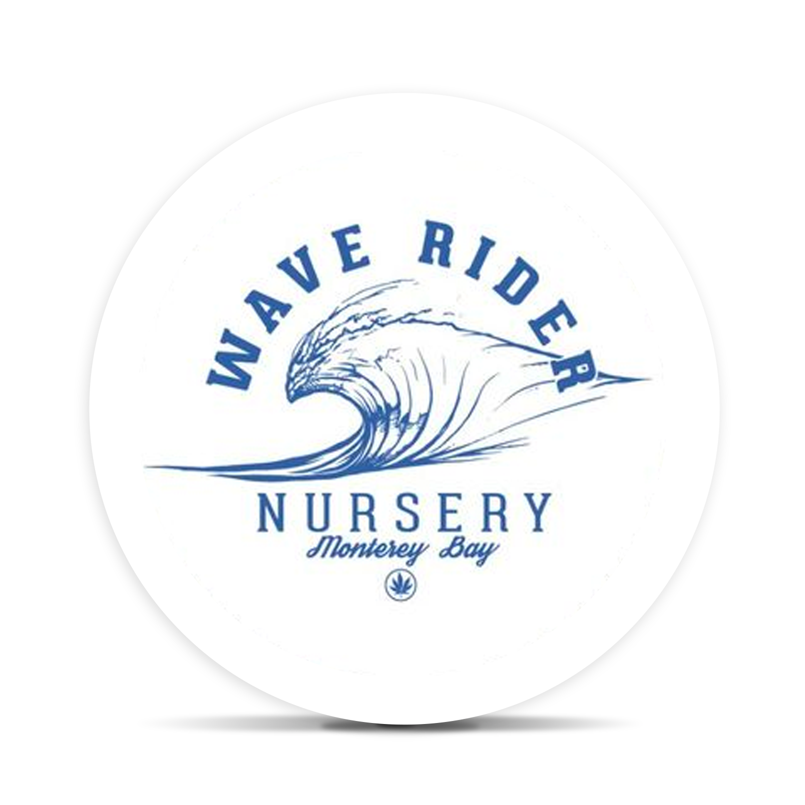 Wave Rider