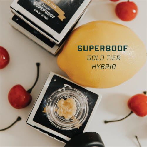 Super Boof -REVIVAL- Gold Tier Solventless Live Hash Rosin