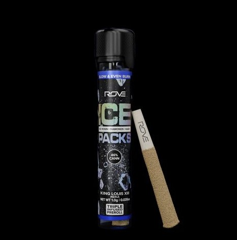 (60754) King Louis Xlll 1G INF PreRoll