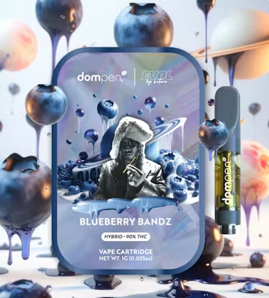 Cartridge Evol Future Blueberry Bandz