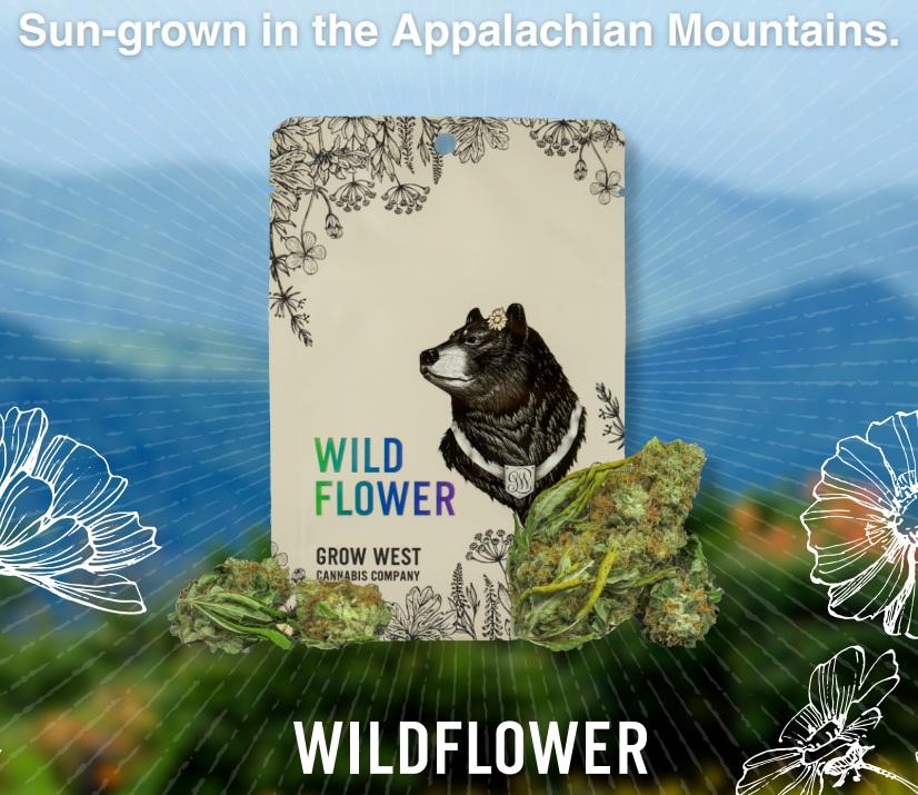 WILDFLOWER Flo Walker 1/8