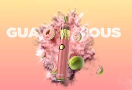 Guavalicious (Disposable) | 2g