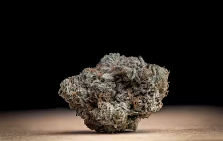 (2) Community Projects: Gelato 33 (H-I)