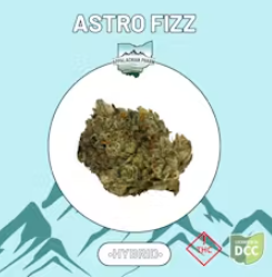 Astro Fizz H Flower