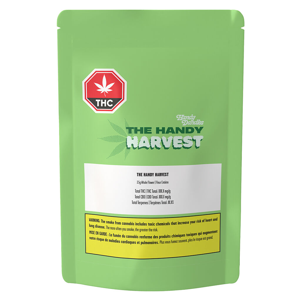 Handy Dandies - The Handy Harvest (Sunset Sherbert) Dried Flower