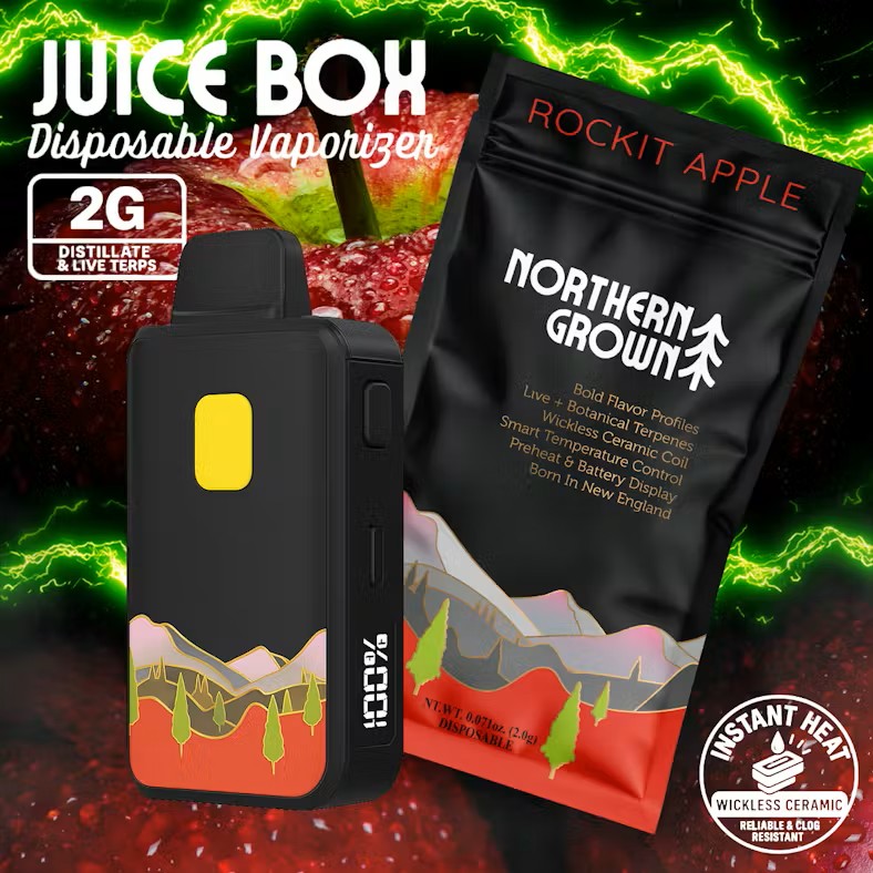 2G Northern Grown Disposable - Rockit Apple