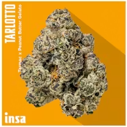 Tarlotto 3.5g
