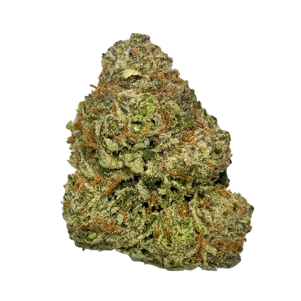 123 GROW | DURBAN POISON | BULK FLOWER