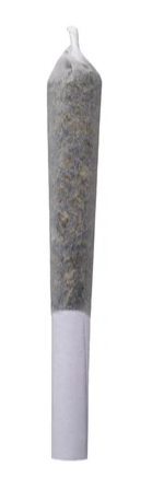 Gardener Barbara Bud Live Rosin