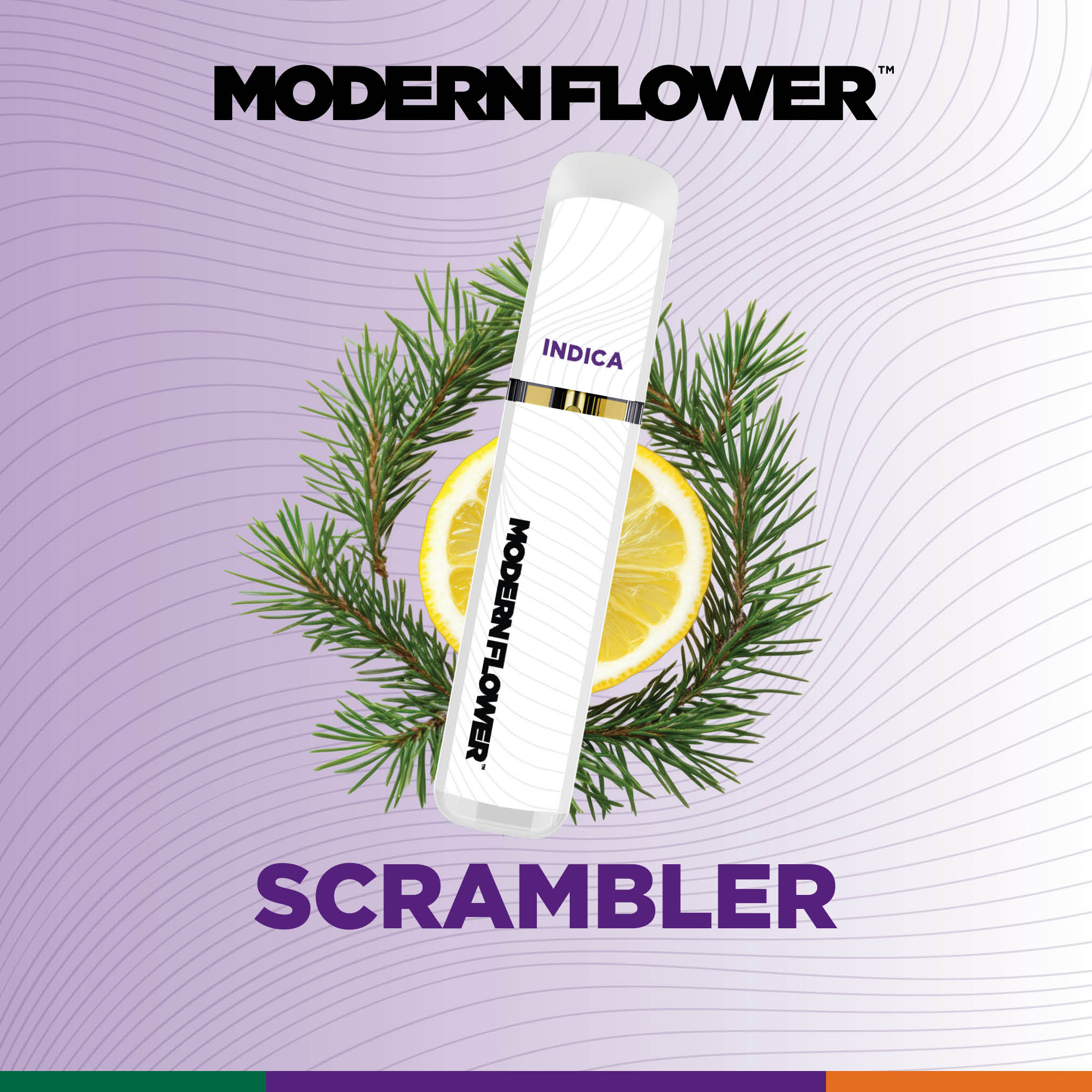 Scrambler Live Sauce All In One 1g