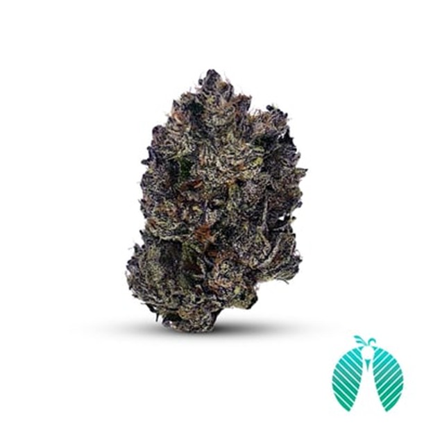 Cheat Code Flower: 7g