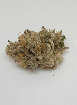 Gypsie Road Bulk Flower