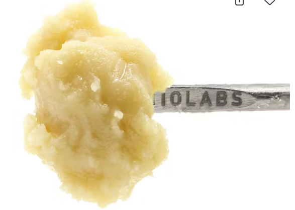 710 Labs Close Friends - Rainbow Belts + Jackson Heightz - Persy Badder