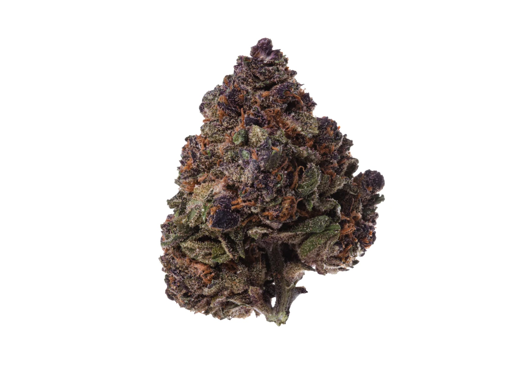 All Purpose Flower Indica