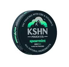 KSHN POUCH CO | SPEARMINT | THC POUCHES | 200MG | REC