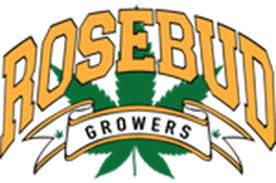 No Discount! Daytona